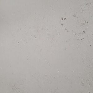 Meet your Posher, Douglas